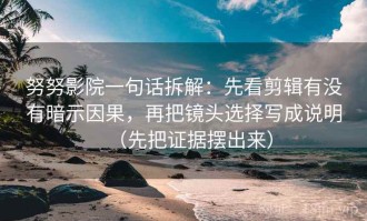 努努影院一句话拆解：先看剪辑有没有暗示因果，再把镜头选择写成说明（先把证据摆出来）