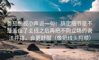 番茄影视小声说一句：搞定细节是不是盖住了主线之后再把不同立场的说法并排，会更舒服（像把线头捋顺）